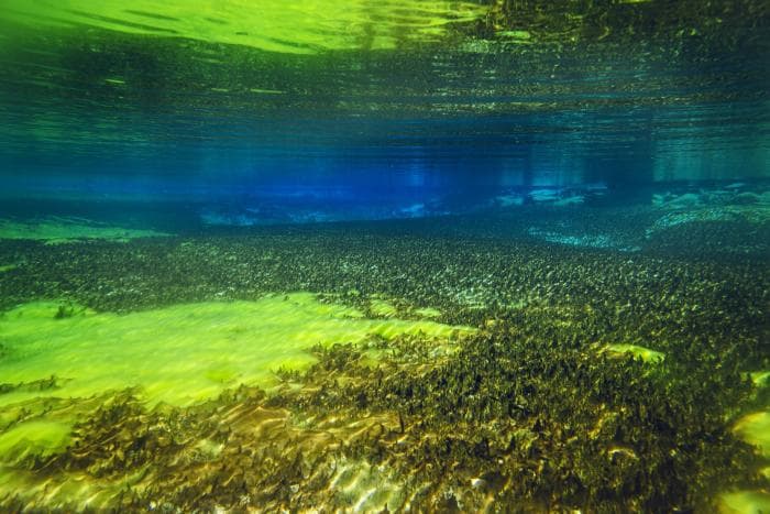 Blue Lake - maailma kõige selgema veega järv