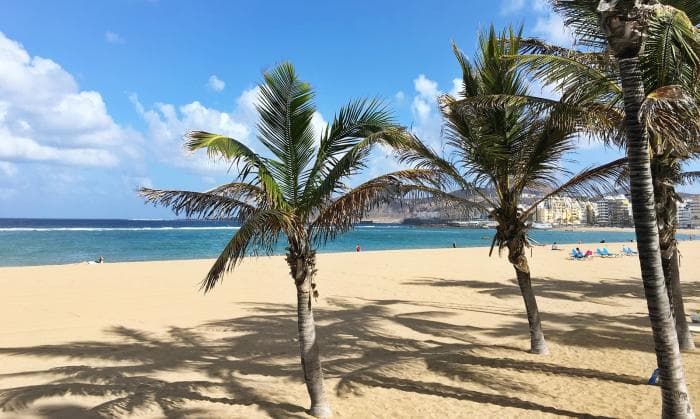 Gran Canariale reise korraldanud FlytoCanarias lõpetas tegevuse