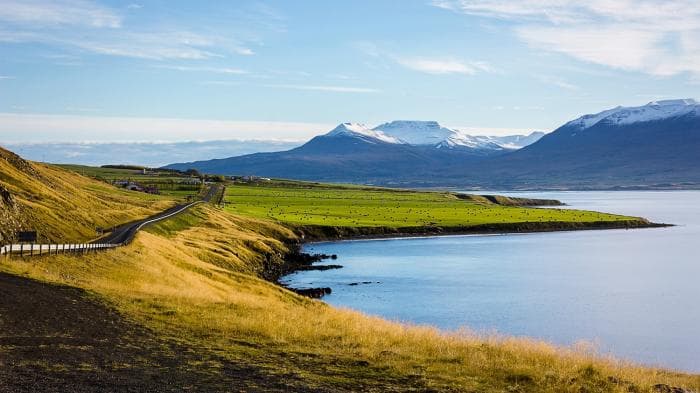 Island hakkab testi nõudma ka vaktsineeritutelt